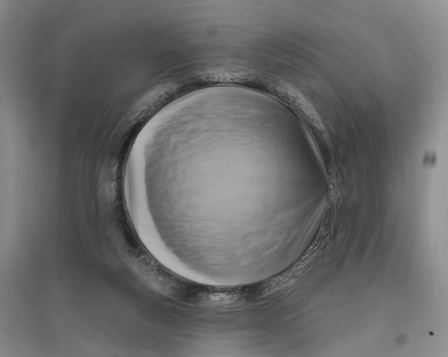 X0000096680163200802261524