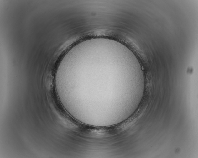 X0000096680164200802261524
