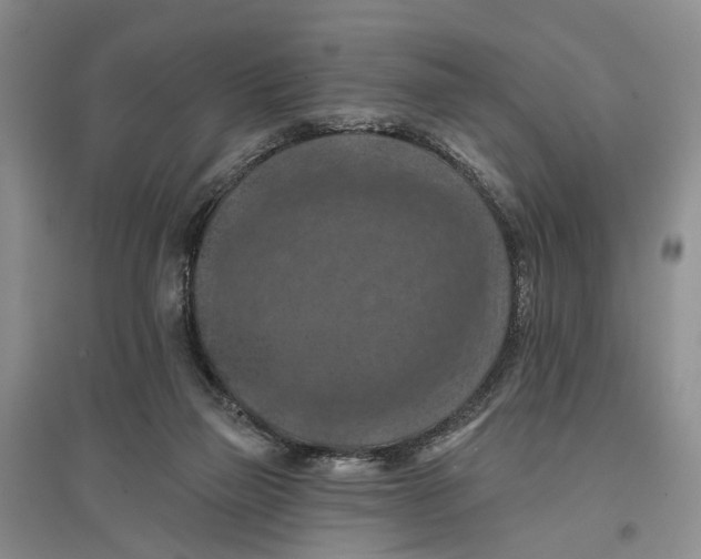 X0000096680165200802261524