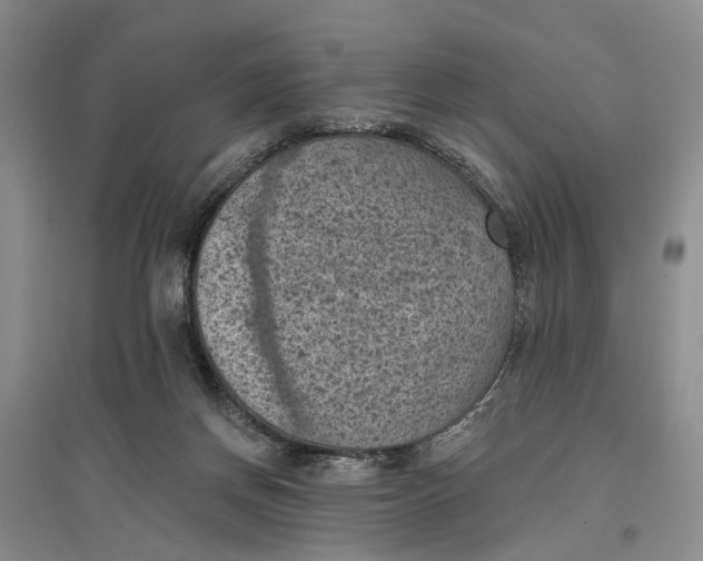 X0000096680166200802261524