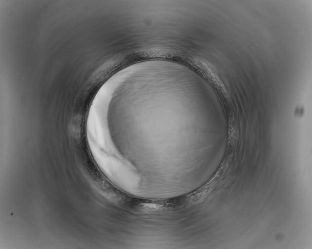 X0000096680167200802261524