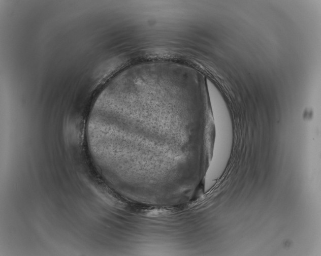X0000096680168200802261524