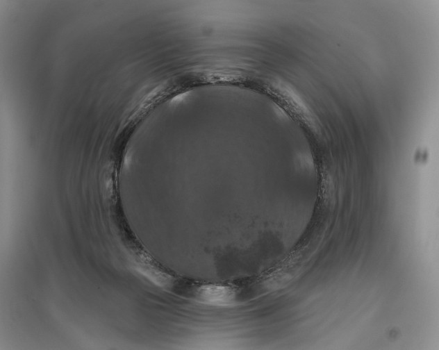 X0000096680169200802261525