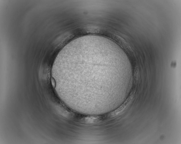 X0000096680172200802261525