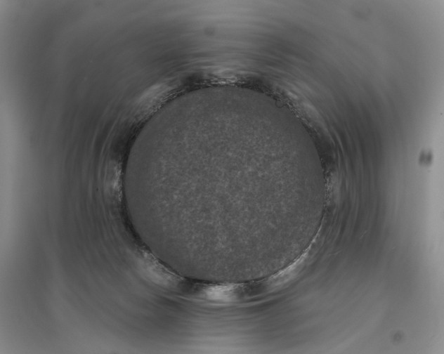 X0000096680178200802261525