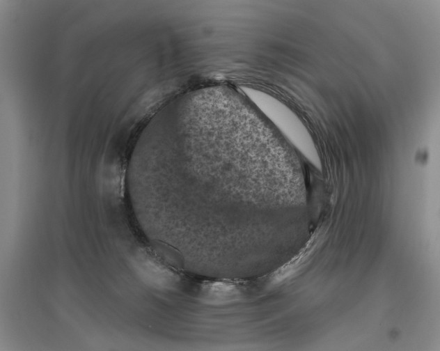 X0000096680180200802261525