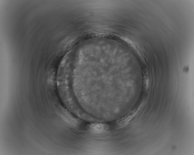X0000096680181200802261525