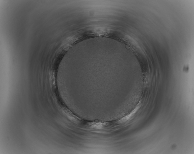 X0000096680182200802261525