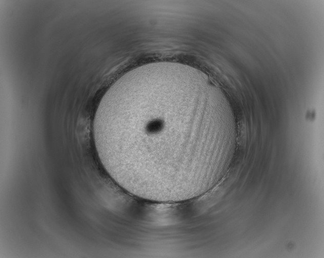 X0000096680184200802261525