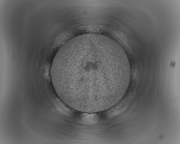 X0000096680185200802261525