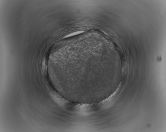 X0000096680186200802261525