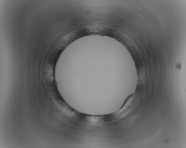 X0000096680187200802261525