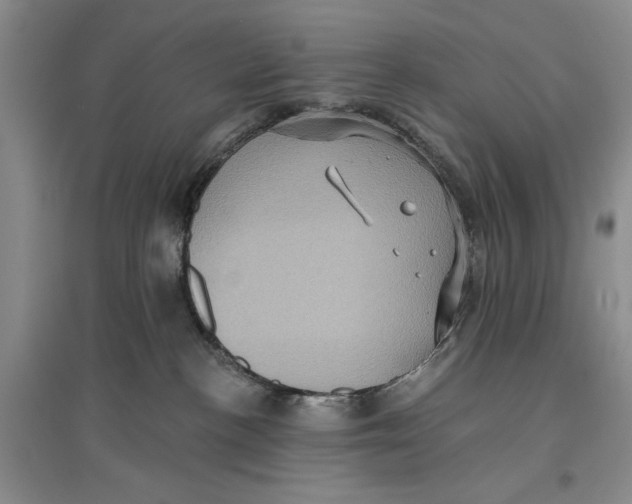 X0000096680188200802261525