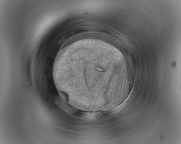 X0000096680190200802261525