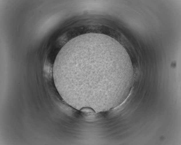 X0000096680191200802261525