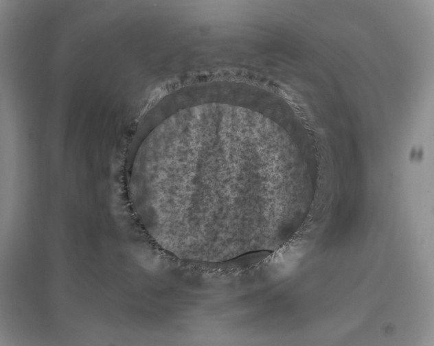 X0000096680192200802261525