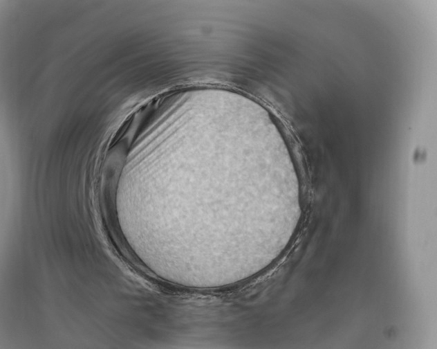 X0000096680193200802261524