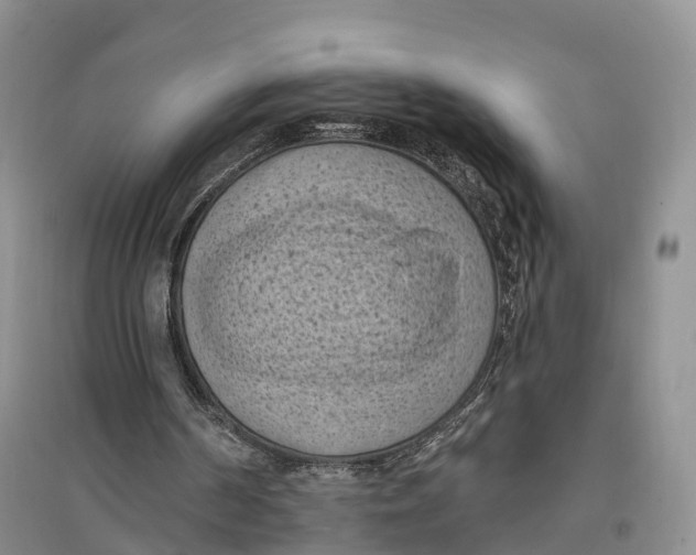 X0000096680194200802261524