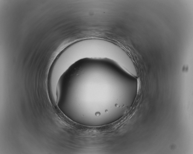 X0000096680195200802261524