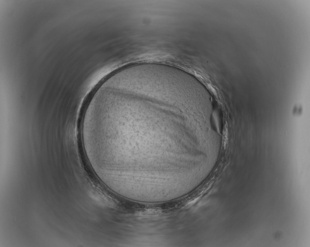 X0000096680196200802261524