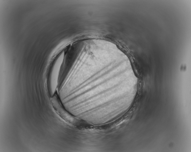 X0000096680197200802261524