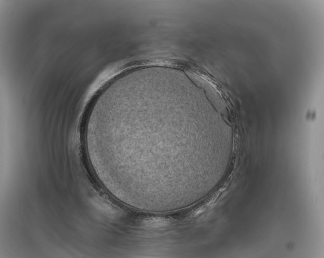 X0000096680198200802261524