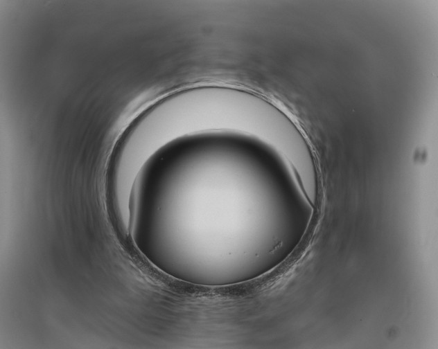 X0000096680199200802261524