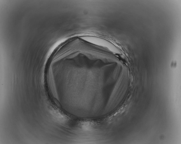 X0000096680200200802261524