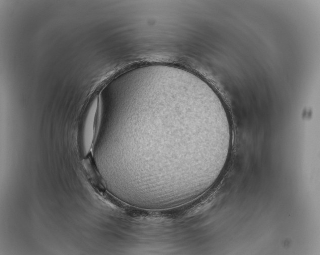 X0000096680201200802261524
