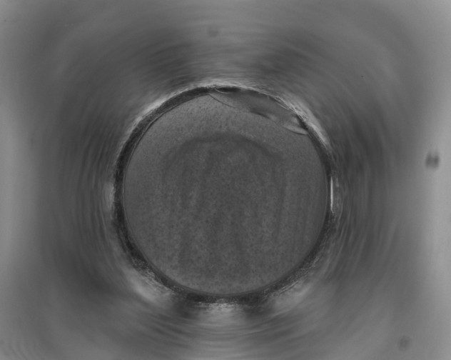 X0000096680204200802261524