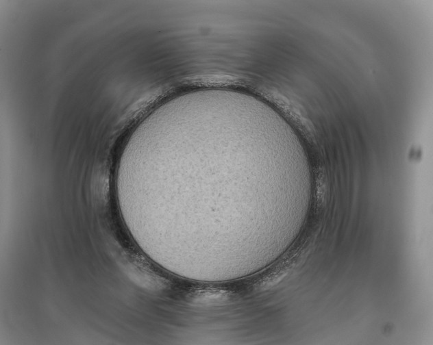 X0000096680206200802261524