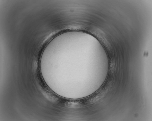 X0000096680208200802261524