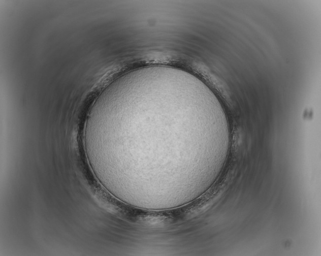 X0000096680209200802261524