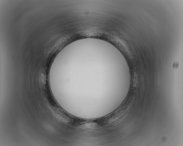 X0000096680210200802261524