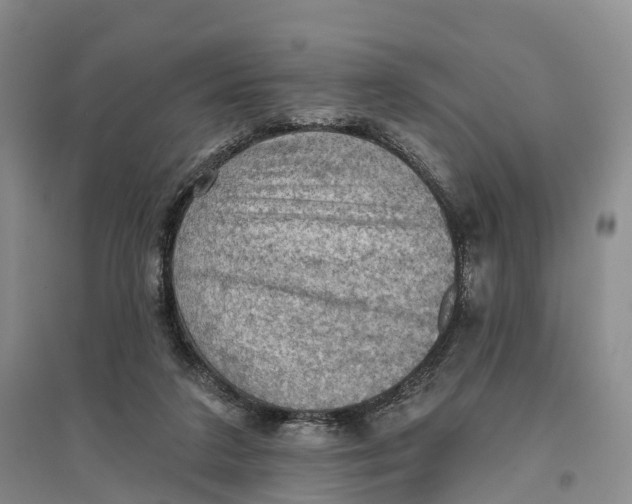 X0000096680211200802261524