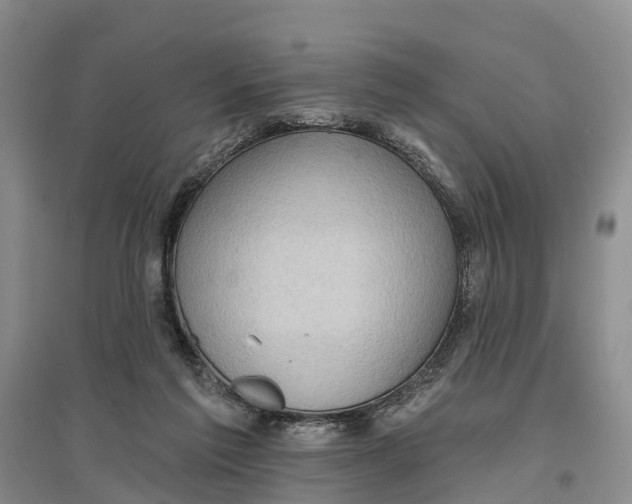 X0000096680213200802261524