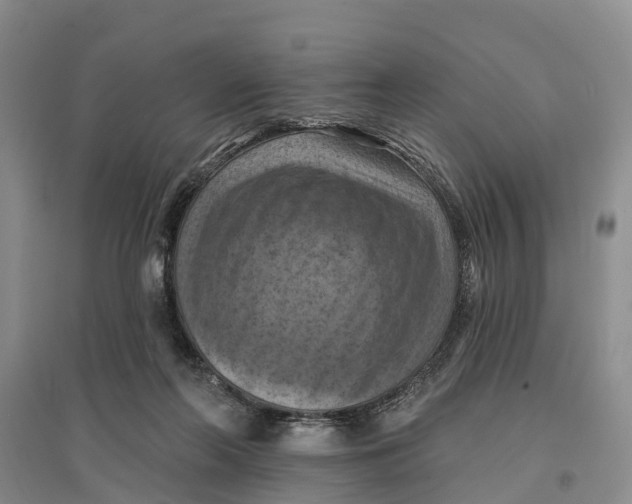 X0000096680214200802261524