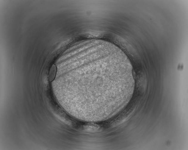 X0000096680215200802261524