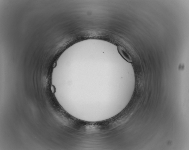 X0000096680216200802261524
