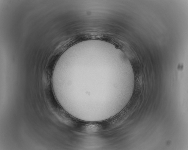 X0000096680218200802261524