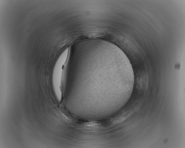 X0000096680219200802261524