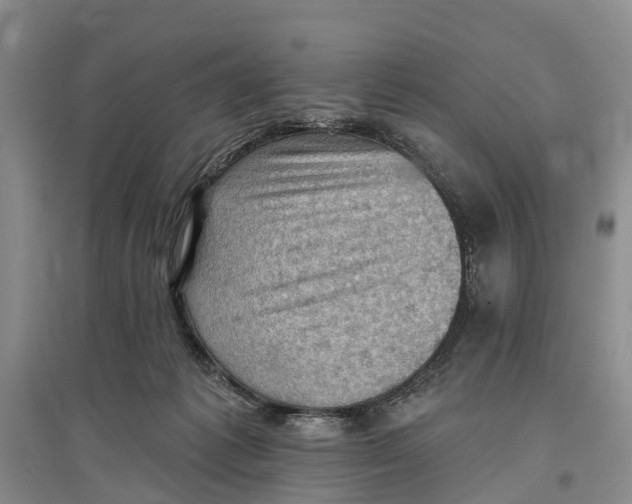 X0000096680221200802261524