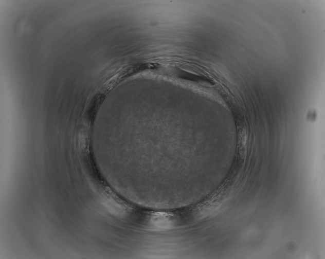 X0000096680222200802261524