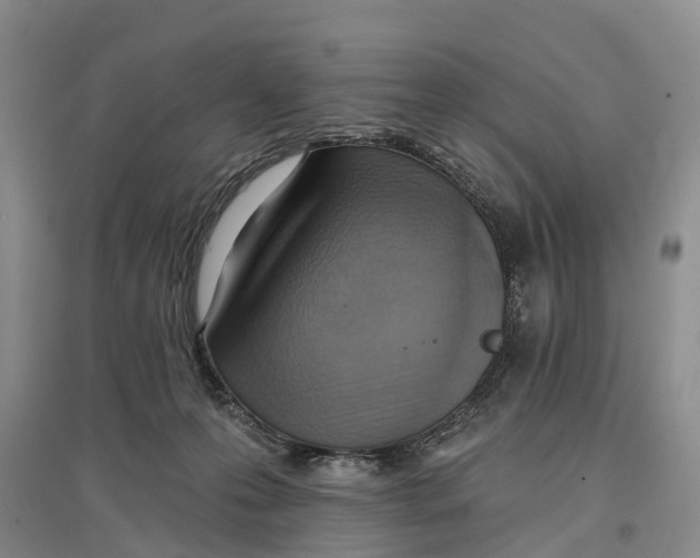 X0000096680223200802261524