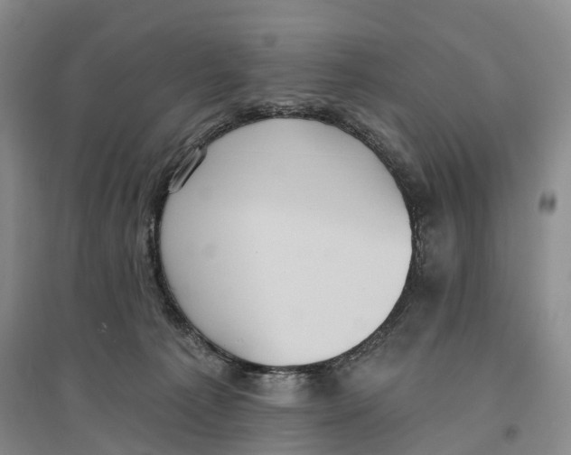 X0000096680225200802261524