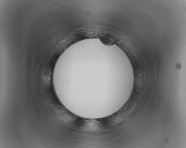 X0000096680226200802261524