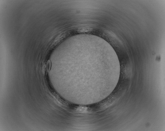 X0000096680227200802261524