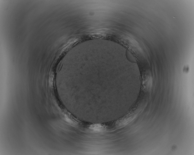 X0000096680231200802261524