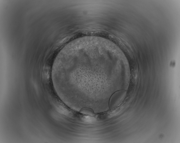 X0000096680232200802261524