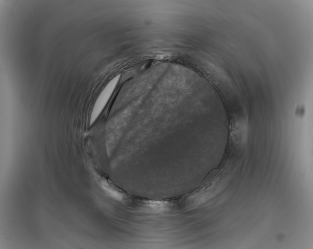 X0000096680233200802261523